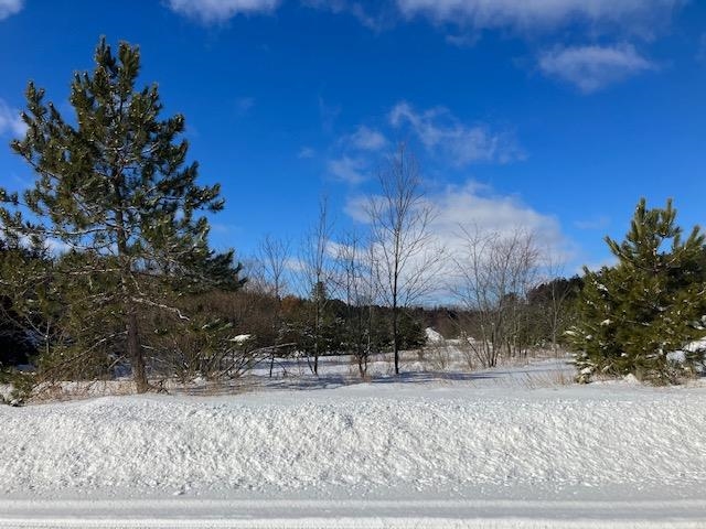 H-3 Dell Road Kingsley, MI 49649 - Photo 6 of 6