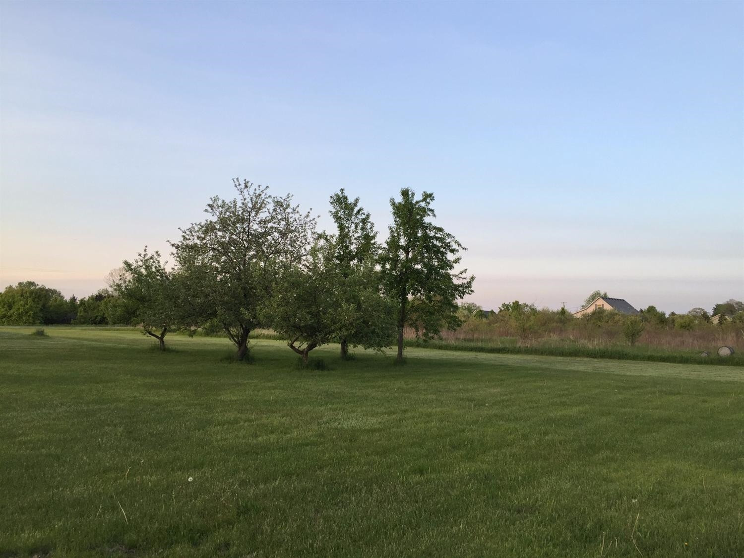 11909 Ida Center Road Ida, MI 48140 - Photo 4 of 10 Photo 4