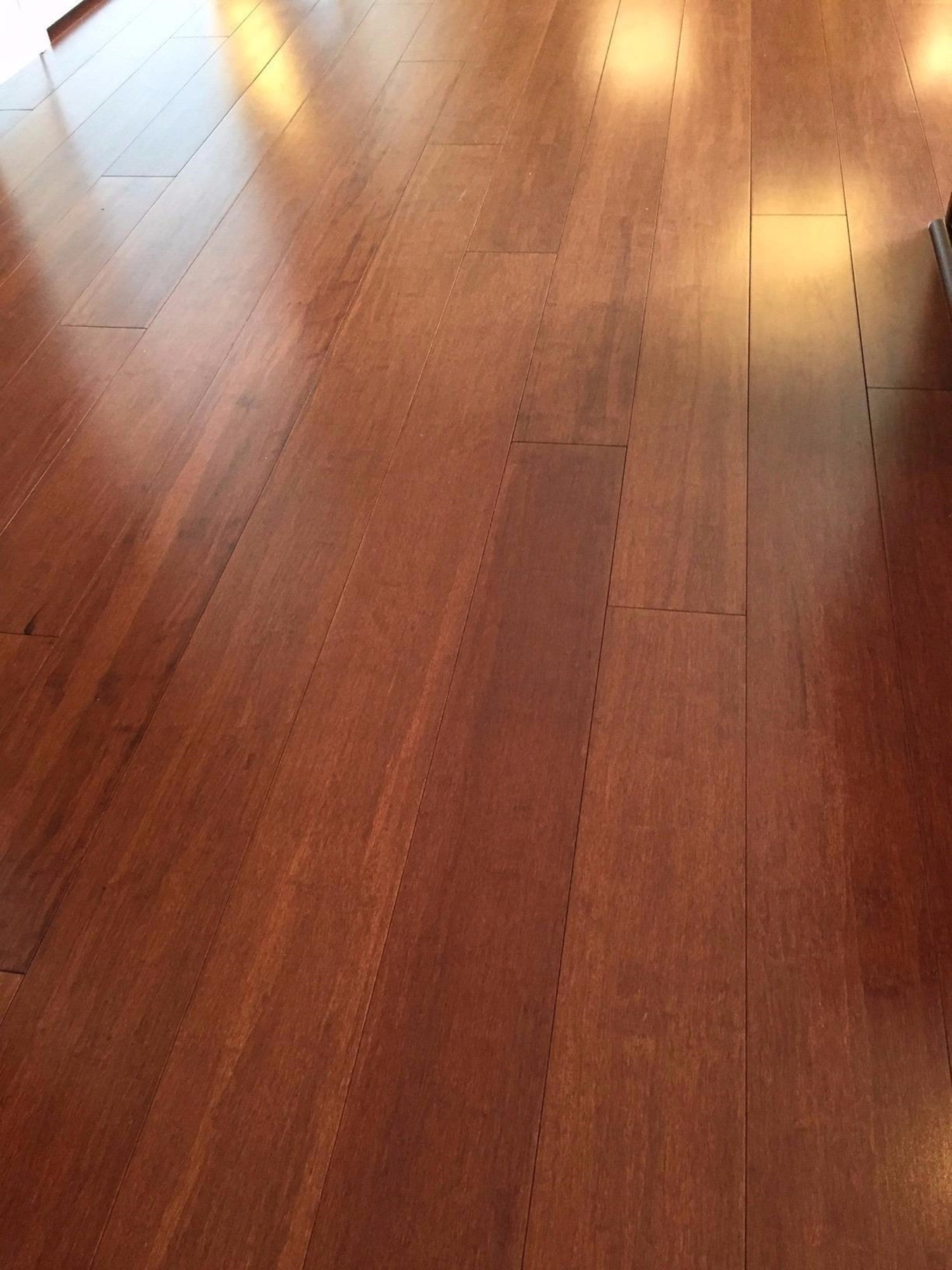 11909 Ida Center Road Ida, MI 48140 - Photo 9 of 10 Beautiful Bamboo Flooring