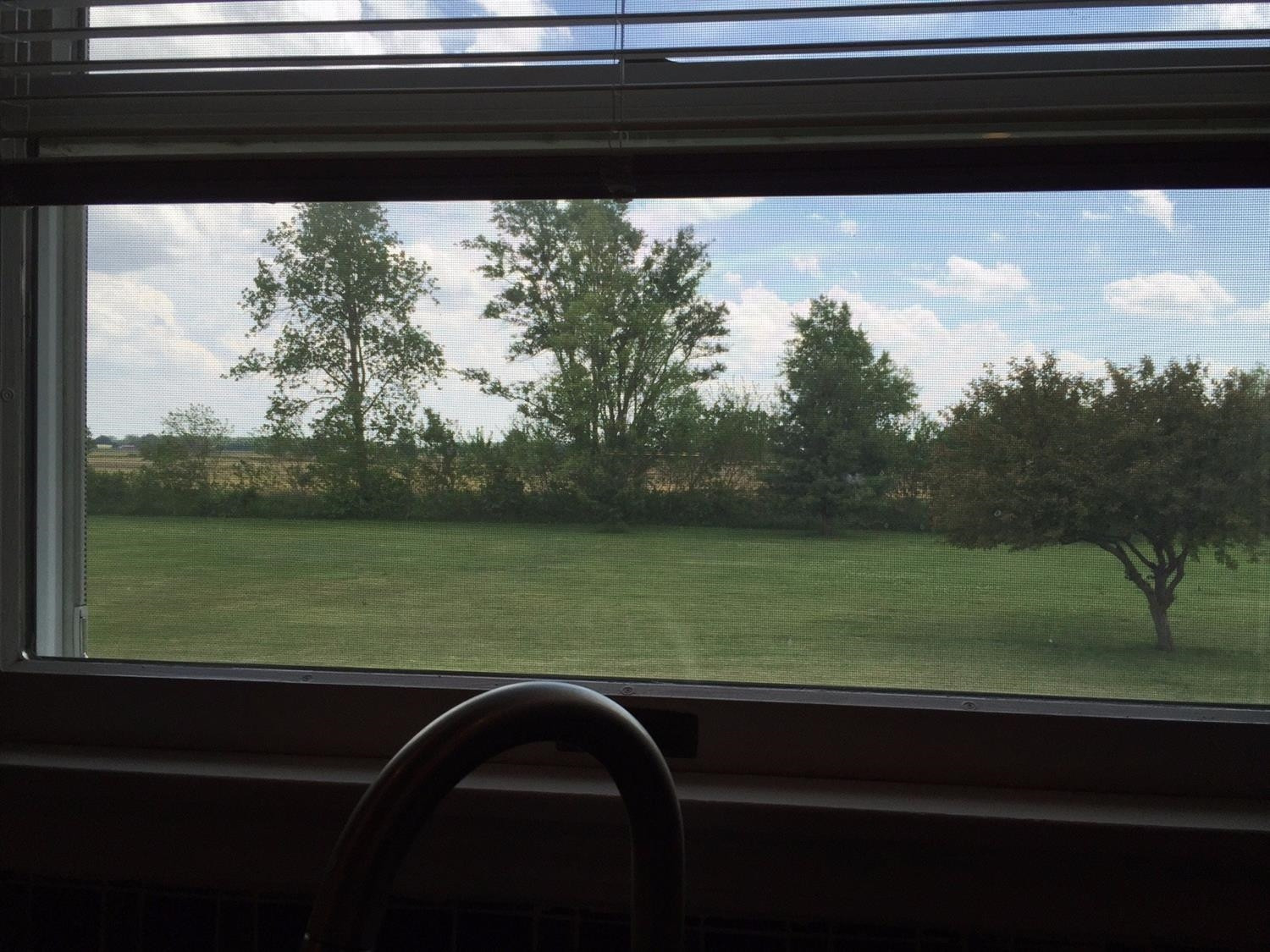 11909 Ida Center Road Ida, MI 48140 - Photo 10 of 10 View out of the kitchen window
