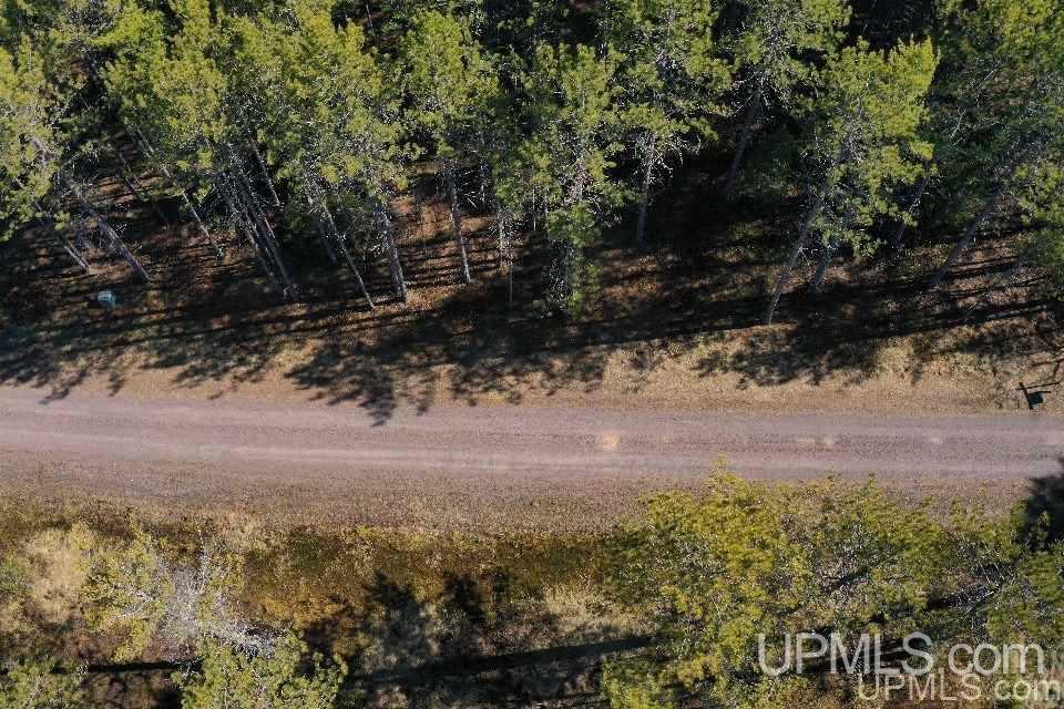 33985 Rice Landing Rd Lake Lake Linden, MI 49945 - Photo 5 of 30