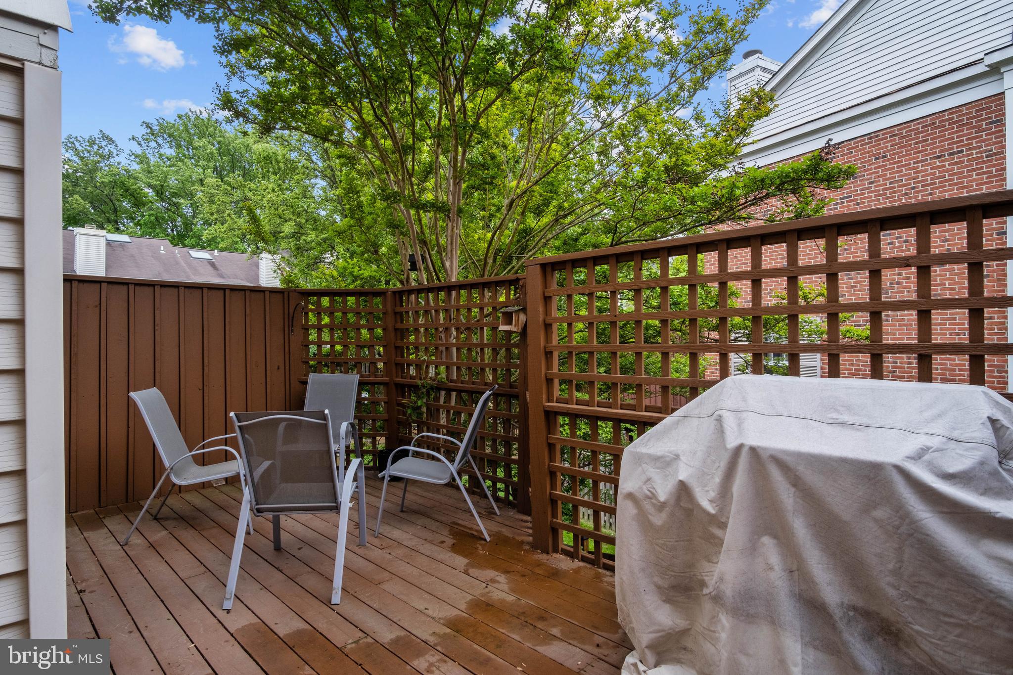 6532 Milva Lane Springfield, VA 22150 - Photo 21 of 57 With room to Grill