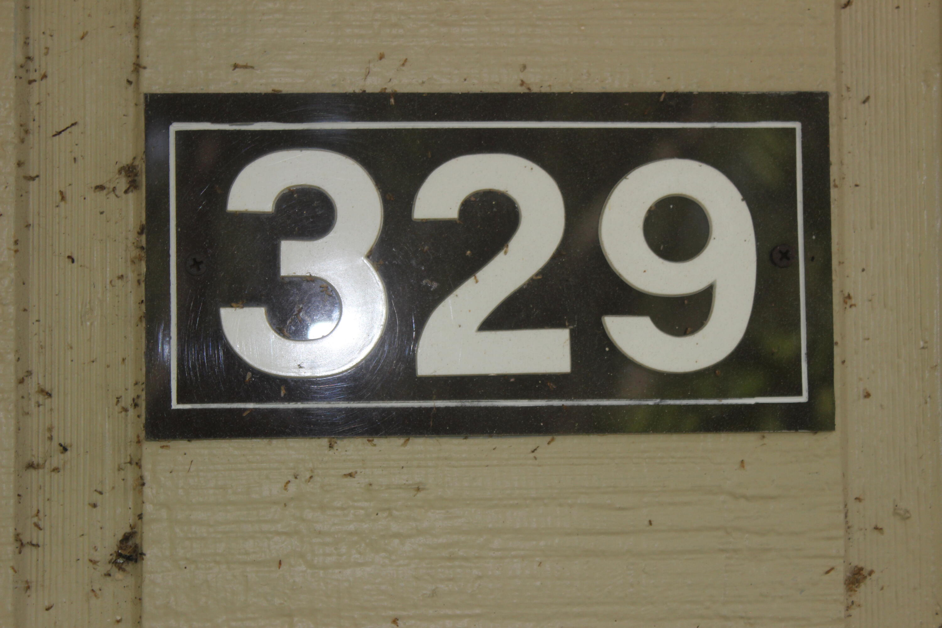 13334 Polo Club Road, Unit 328 Wellington, FL 33414 - Photo 7 of 11 Studio