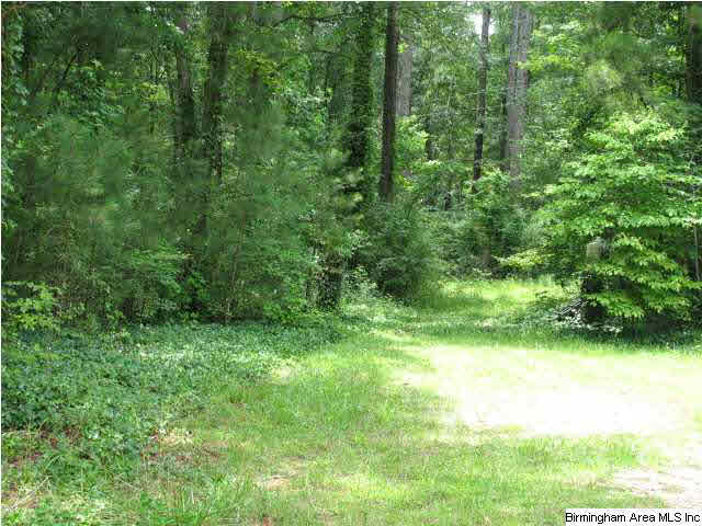 0 Rockcrusher Road, Unit 10 AC Steele, AL 35987 - Photo 1 of 8