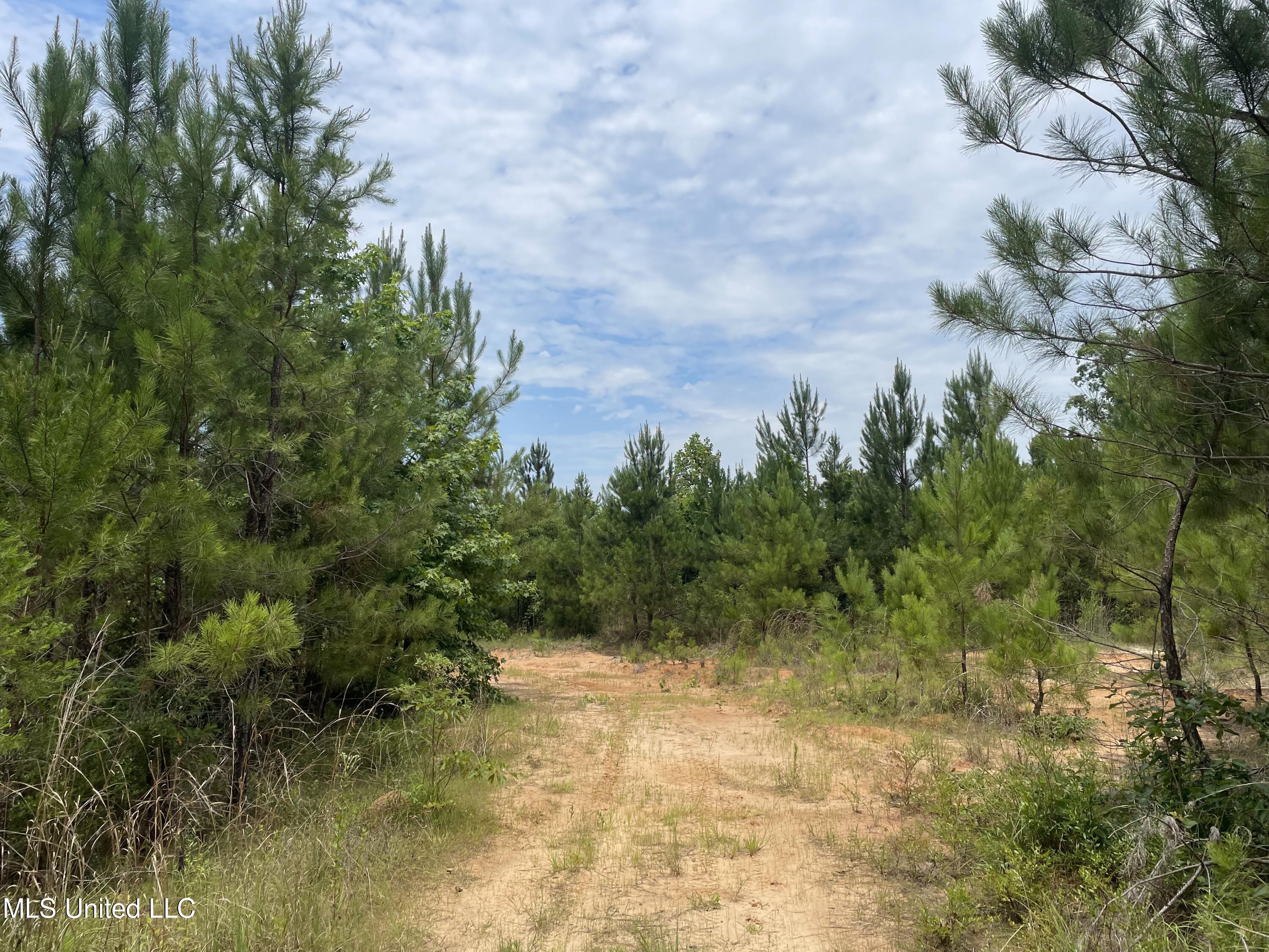 Jimmy Keen Rd Union Union, MS 39365 - Photo 1 of 6 80 acres in Neshoba