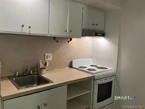 a kitchen with a sink cabinets and stainless steel appliances