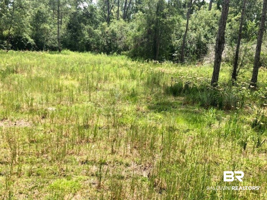 24263 A Woerner Road Elberta, AL 36530 - Photo 37 of 38