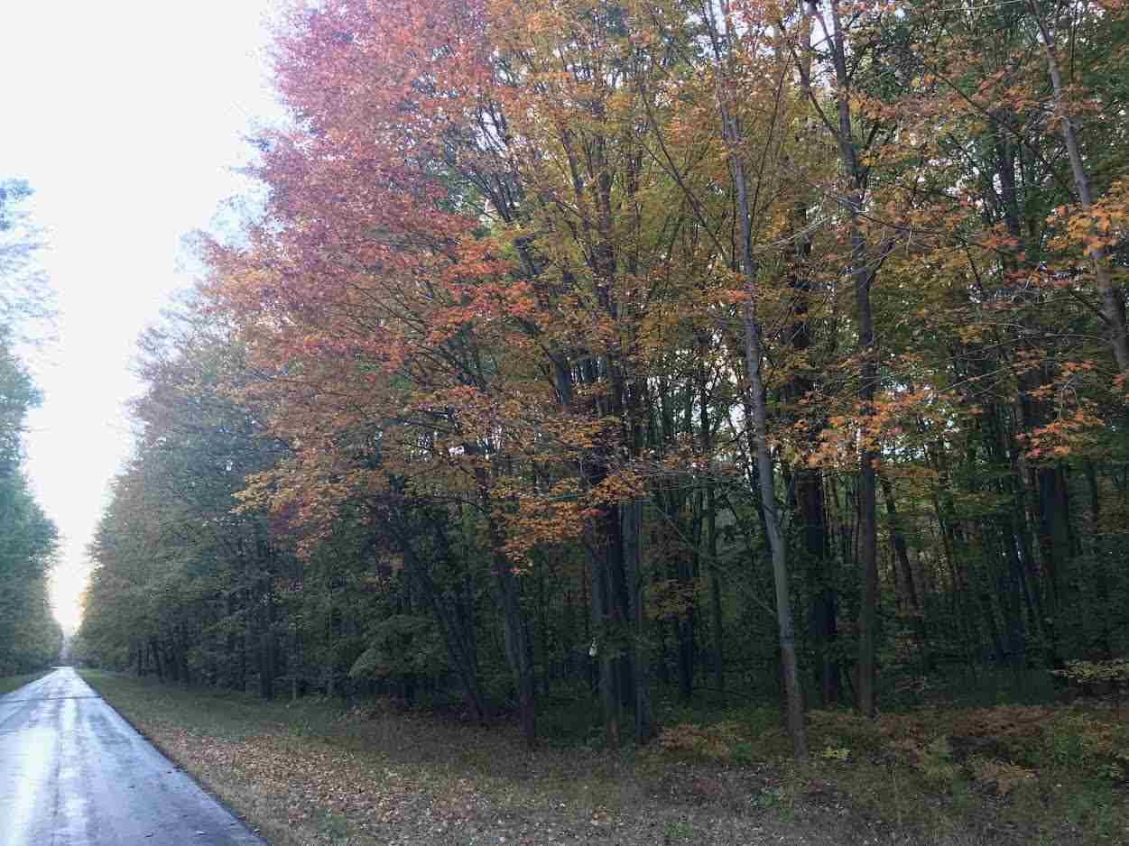 18945 Ithaca Road Brant, MI 48614 - Photo 2 of 5