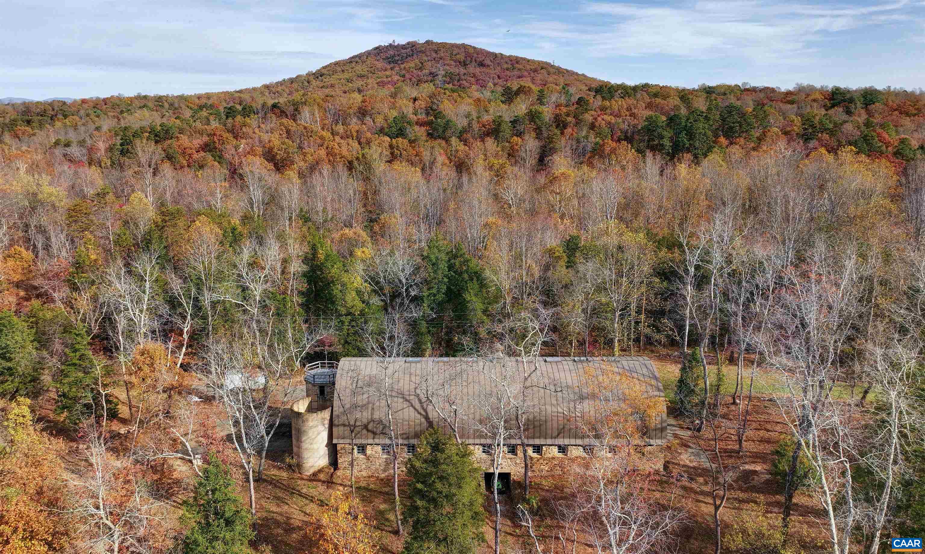 4710 Dickerson Road Earlysville, VA 22936 - Photo 59 of 75 a view of a forest with a mountain in the background
