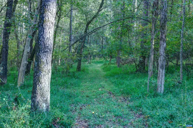 $3,275,000 | 4710 Dickerson Road, Earlysville, VA 22936