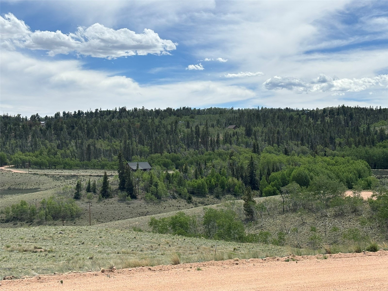 135 Hawk Way Como, CO 80432 - Photo 16 of 22 a view of a dry yard with trees