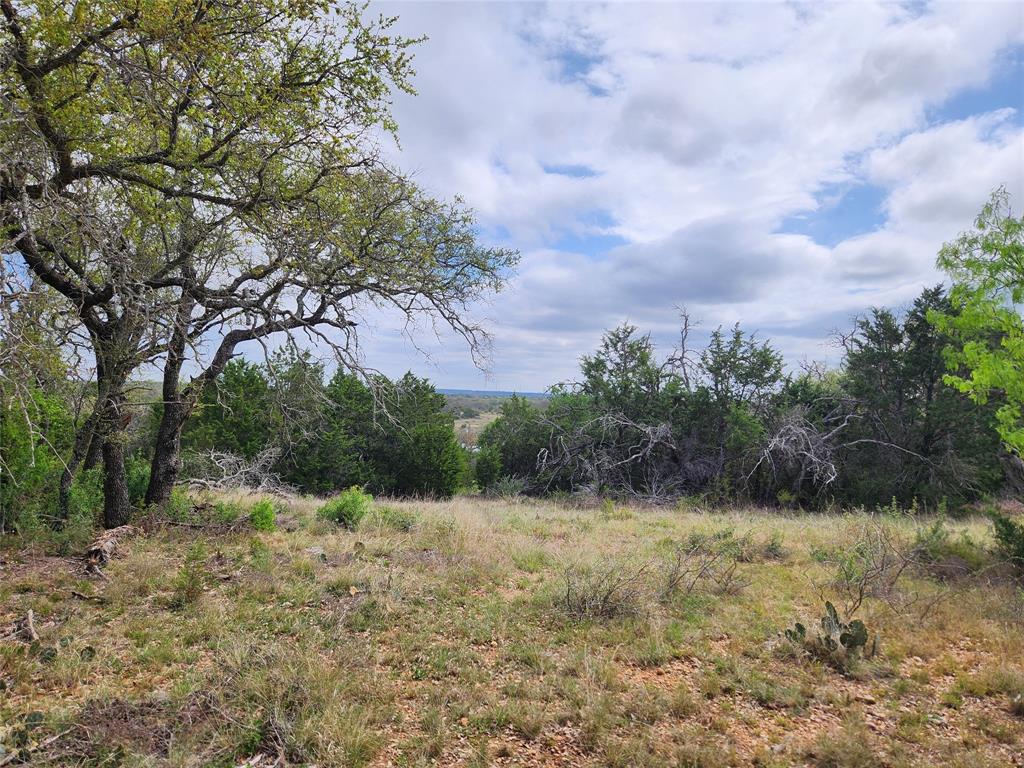 402 County Road 402 Goldthwaite, TX 76844 - Photo 3 of 40 a view of a yard with a tree