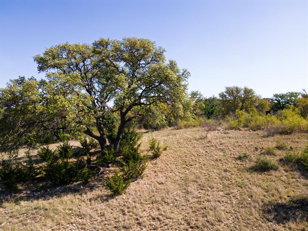 402 County Road 402 Goldthwaite, TX 76844 - Photo 35 of 40 a view of a yard with a tree