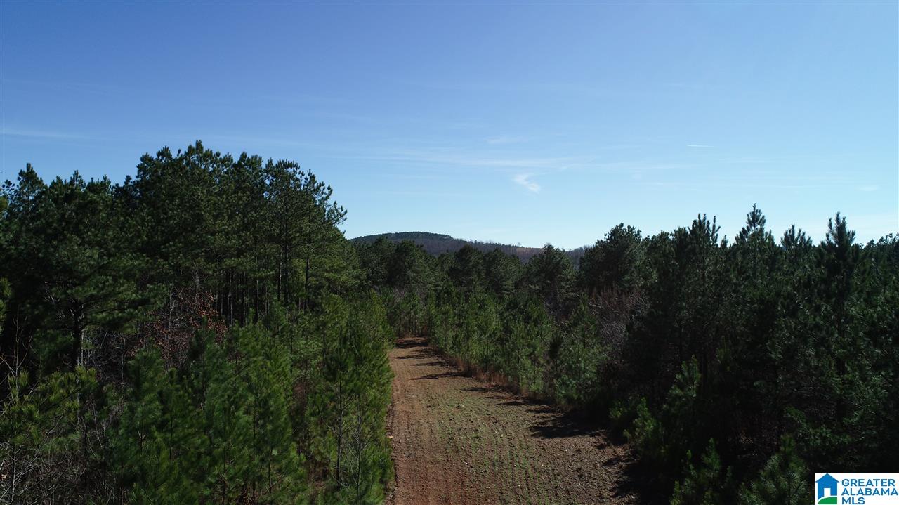 0 Baggett Road, Unit 78 / ACRES Ashland, AL 36251 - Photo 11 of 13