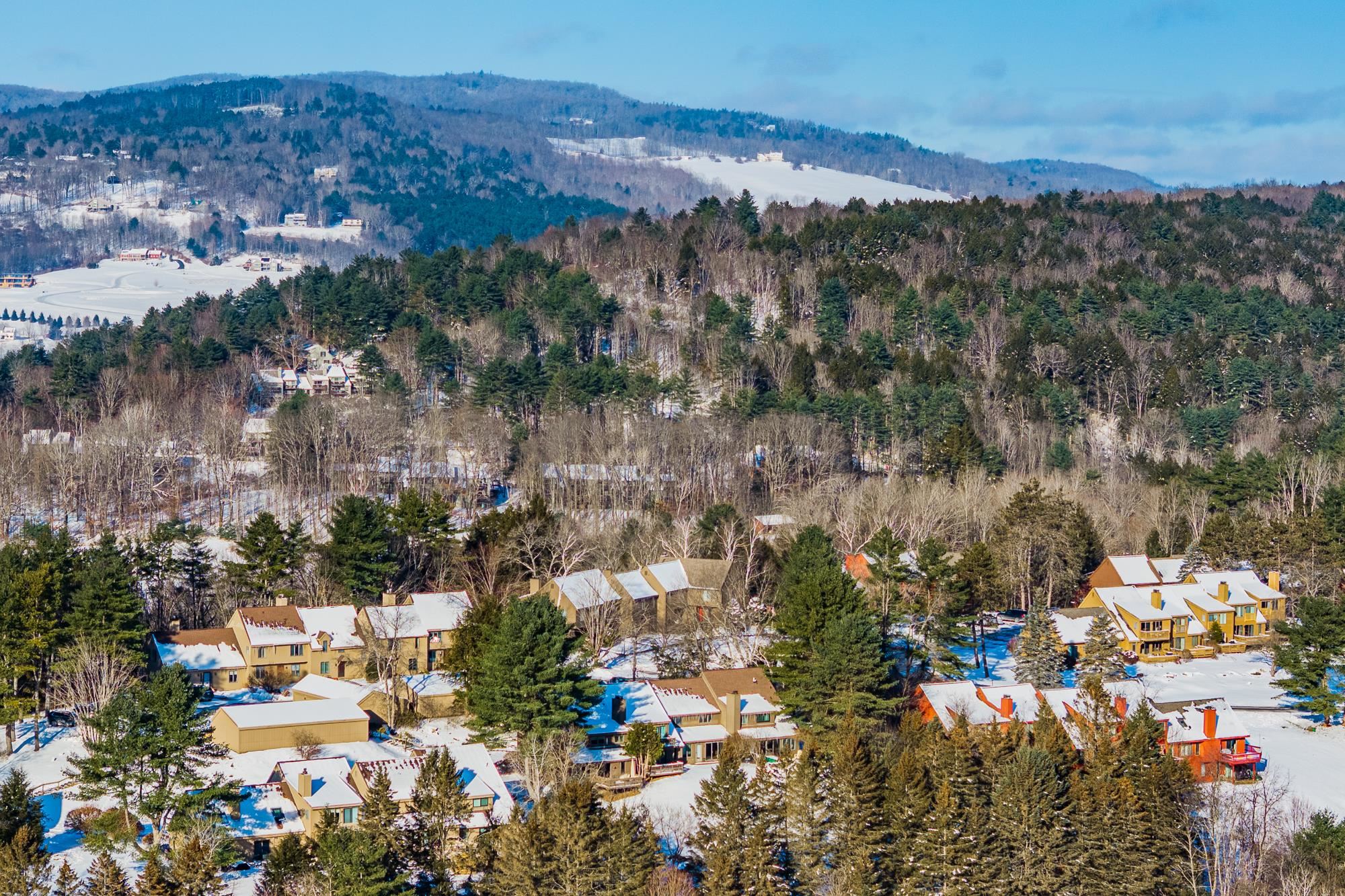 394 Lyman Batcheller Road, Unit 2D Hartford, VT 05059 - Photo 43 of 52