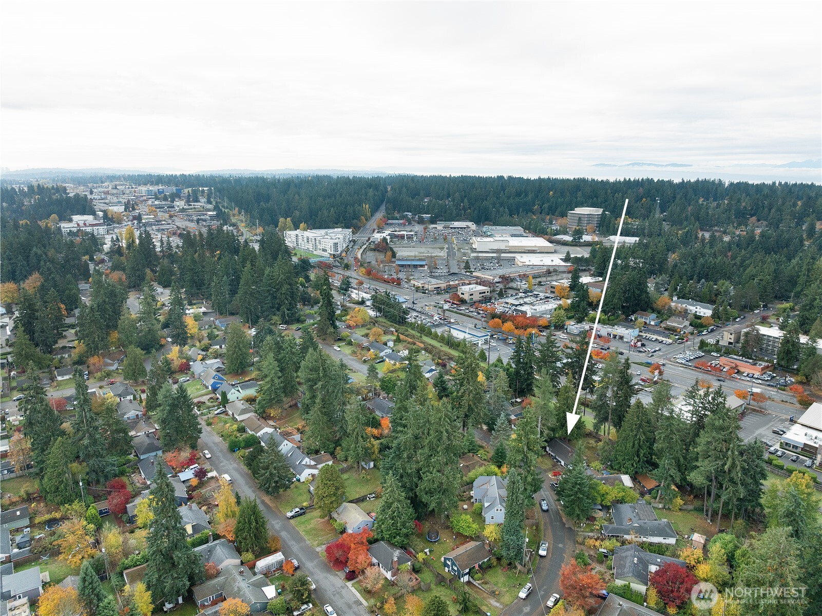 16167 Midvale Avenue North Shoreline, WA 98133 - Photo 36 of 40