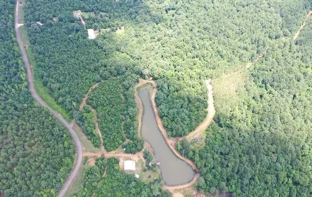 a view of a forest with a sink