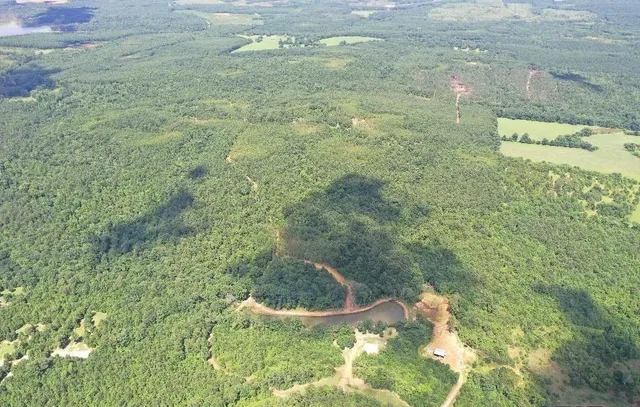 a view of residential space and tree