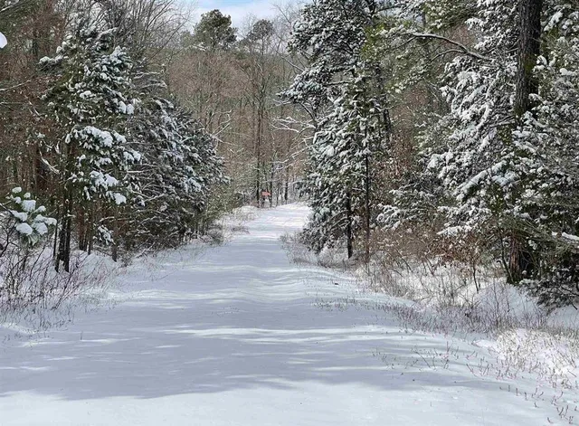 a view of a yard with large trees