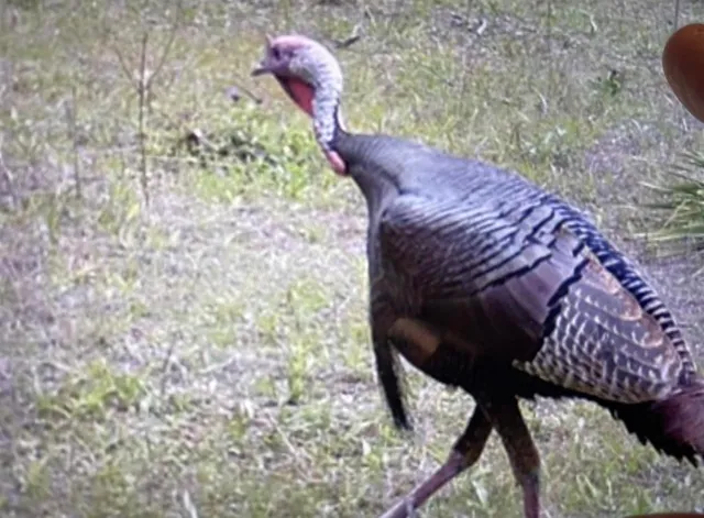 a view of a wooden floor