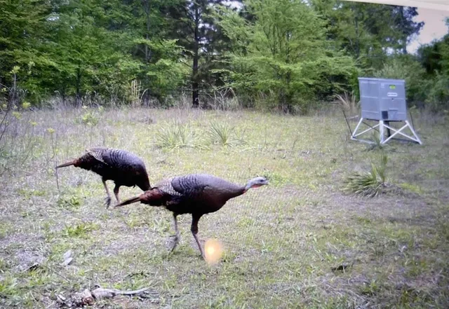 a view of a yard with a porch and furniture