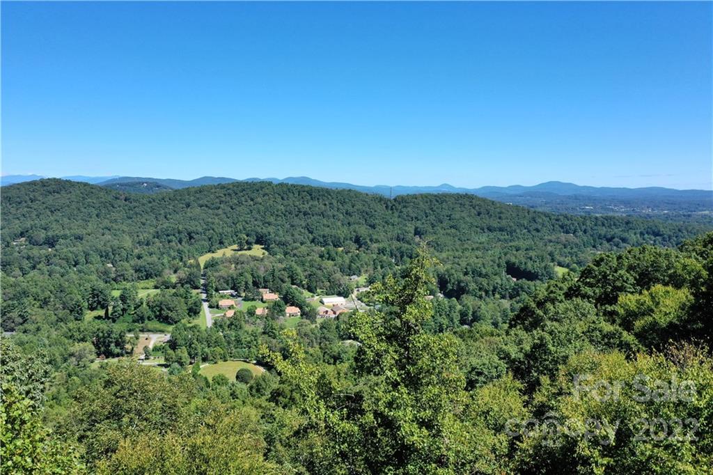 278 Country Ridge Road Hendersonville, NC 28739 - Photo 26 of 28 a view of a lush green forest with a houses