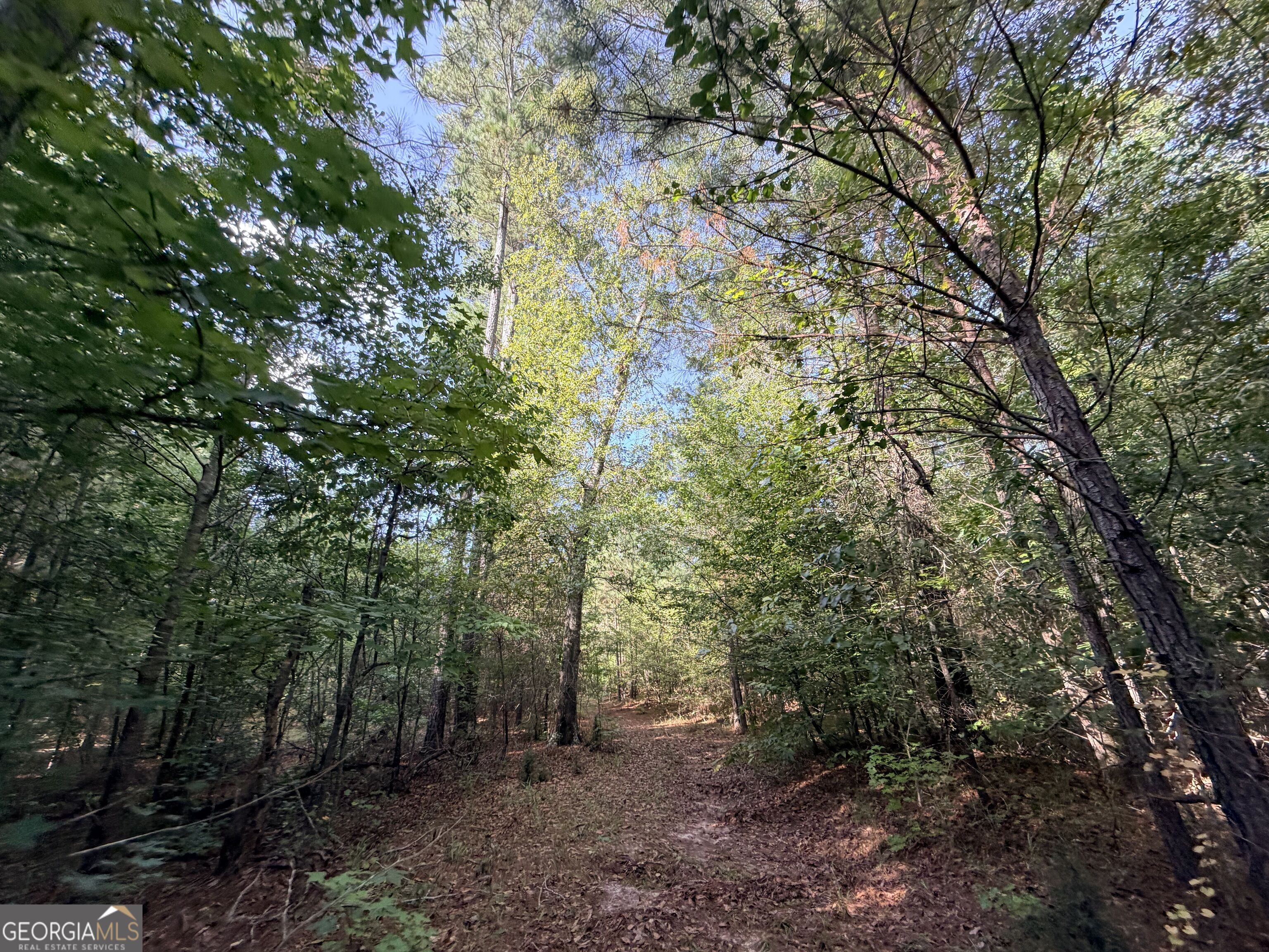 3 Cunningham Road Greensboro, GA 30642 - Photo 78 of 89 Gallery Image 78