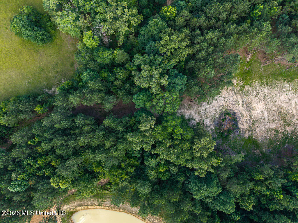 Trickhambridge Road Brandon, MS 39042 - Photo 9 of 30 dji_fly_20260610_164606_0189_17811286490