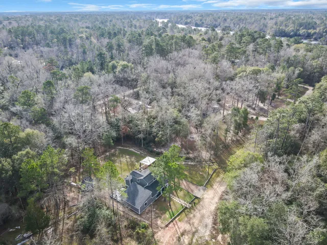 an aerial view of forest