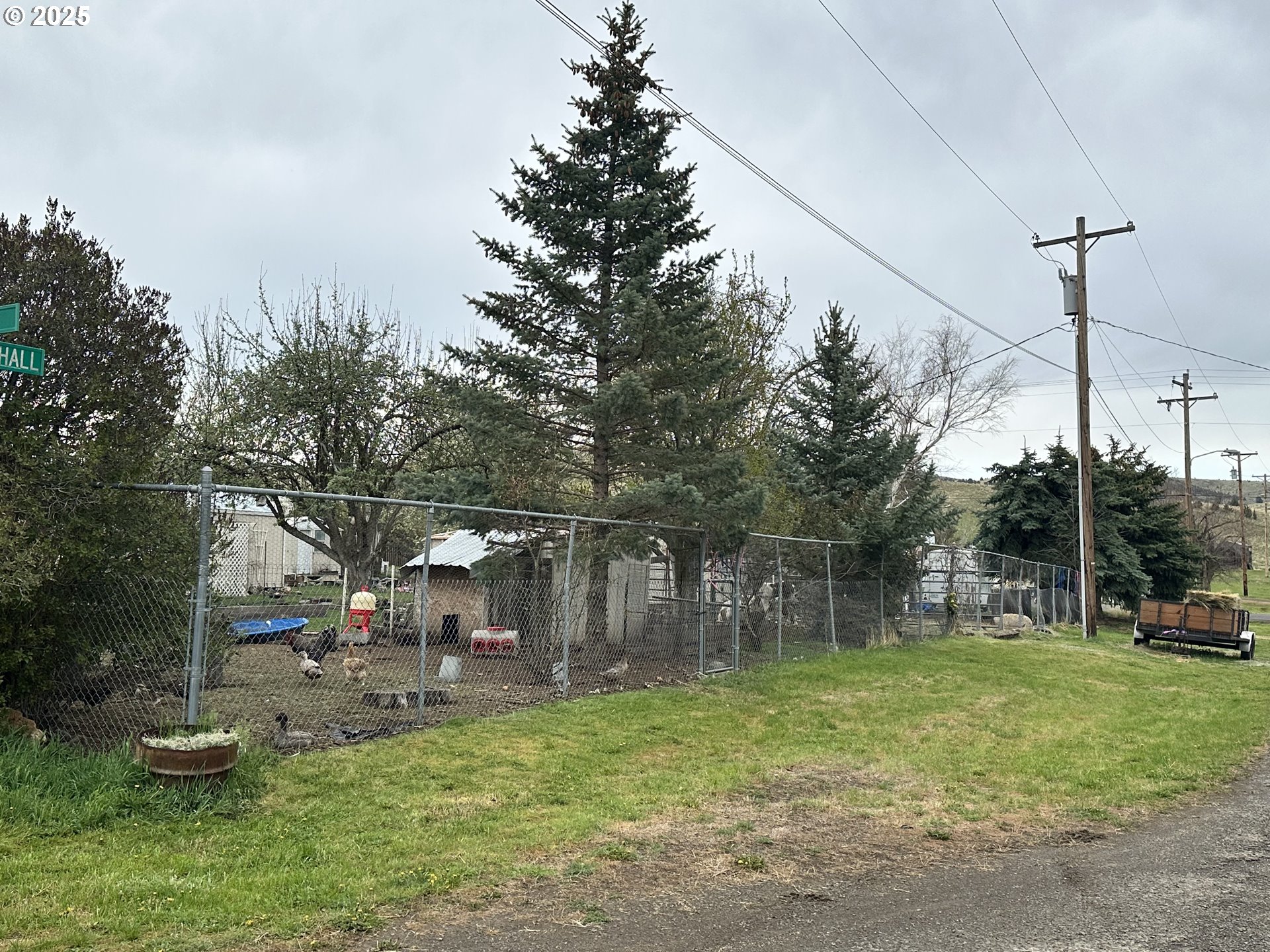 1015 C Street Fossil, OR 97830 - Photo 5 of 33 a view of a park with large trees