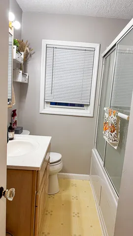 a bathroom with a sink a toilet and vanity
