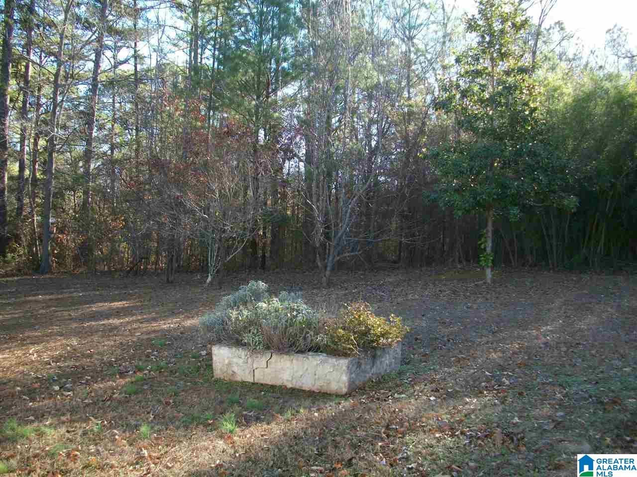 918 Carson Lane Southwest Jacksonville, AL 36265 - Photo 40 of 43