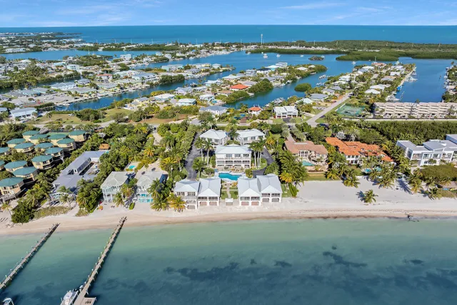 an aerial view of a house with a garden and lake view