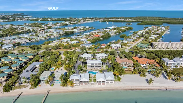 an aerial view of multiple houses with yard