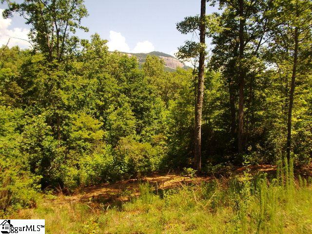 446 West Gate Road Pickens, SC 29671 - Photo 19 of 20 Gallery Image 19