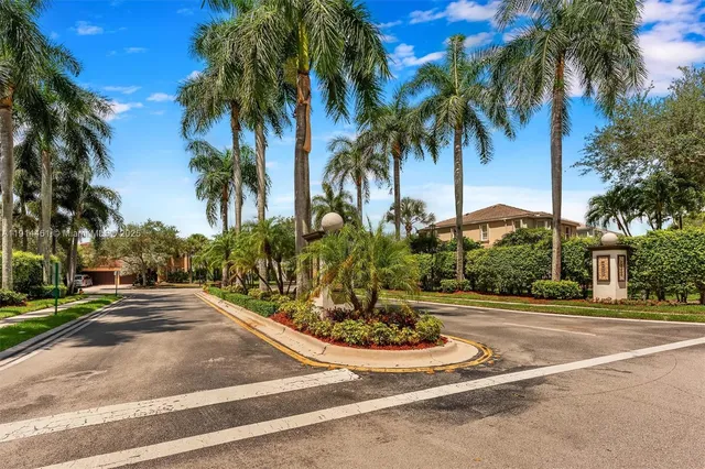 a view of a park with palm trees