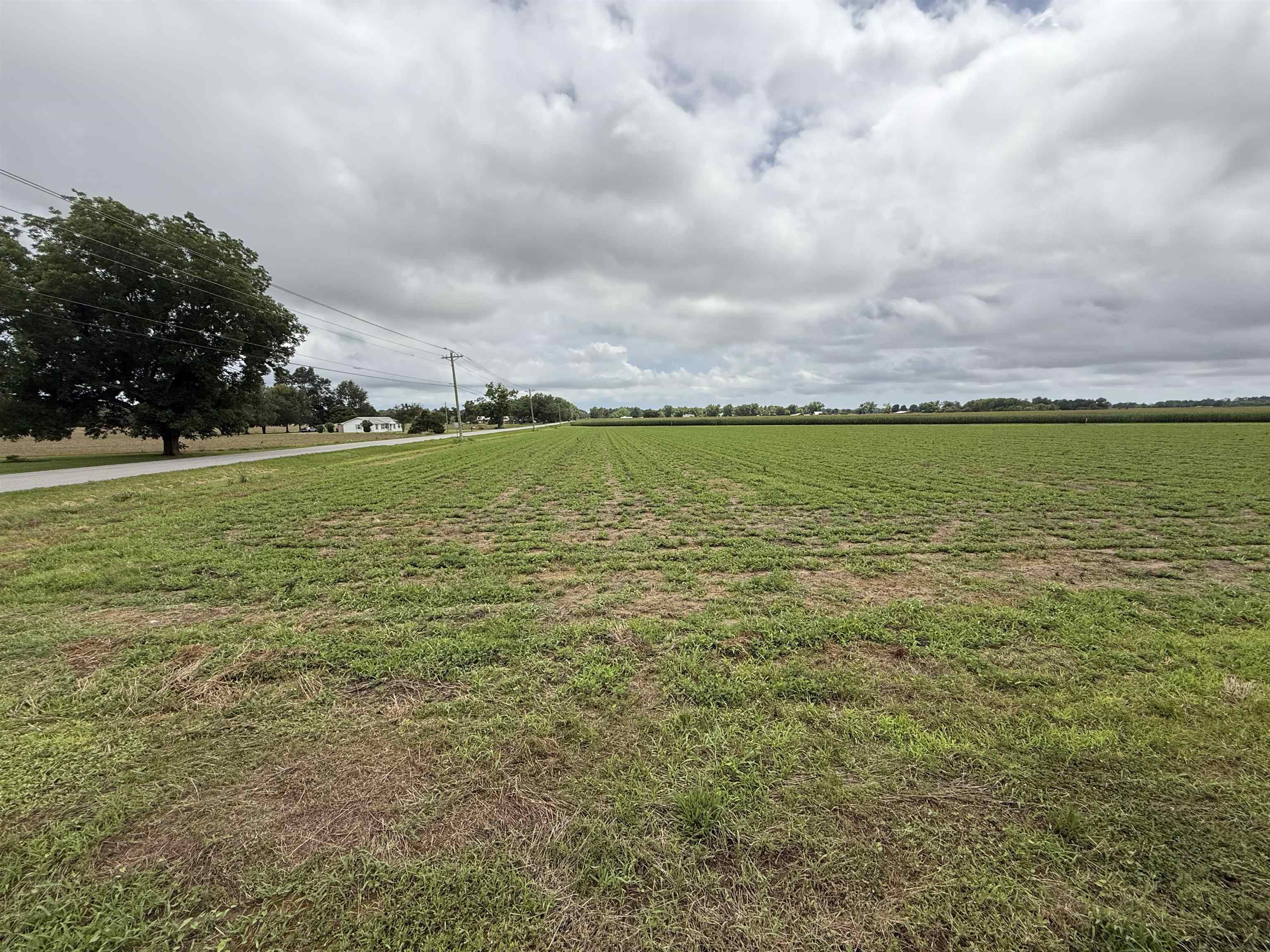 8950 Bishop Road Fairhope, AL 36532 - Photo 2 of 6 Yard