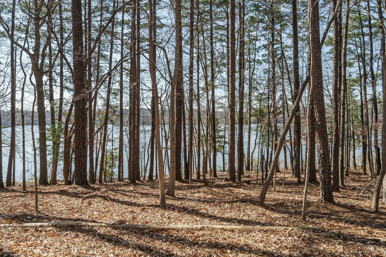 6125 View Water Drive Raleigh, NC 27606 - Photo 2 of 30 Photo 2