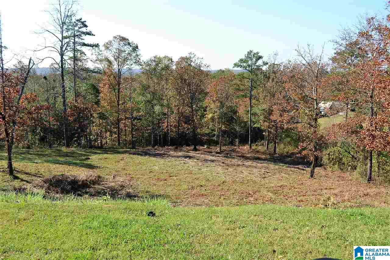 346 Savannah Circle Calera, AL 35040 - Photo 21 of 21