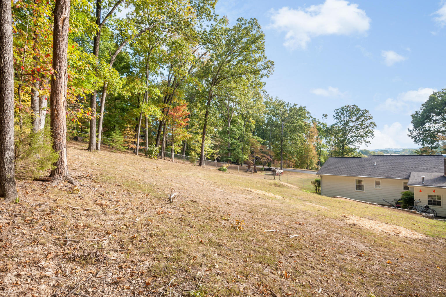 591 Bicentennial Trail Rock Spring, GA 30739 - Photo 20 of 21 Fenced in backyard
