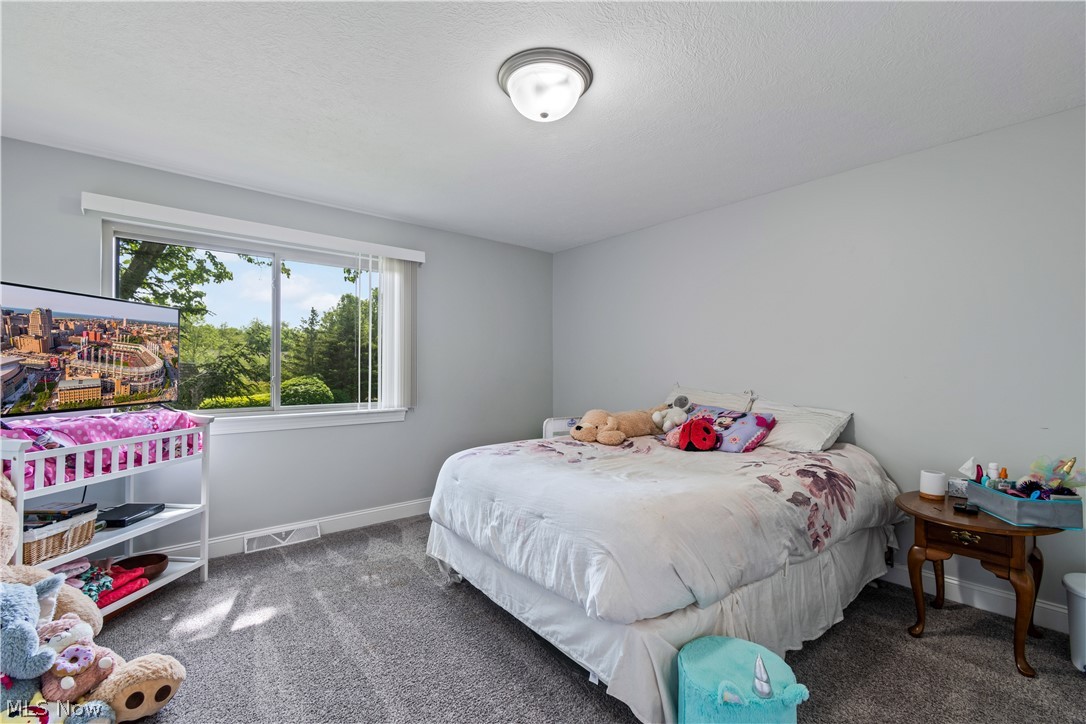 171 Granger Road, Unit 139 Medina, OH 44256 - Photo 17 of 25 Gallery Image 17