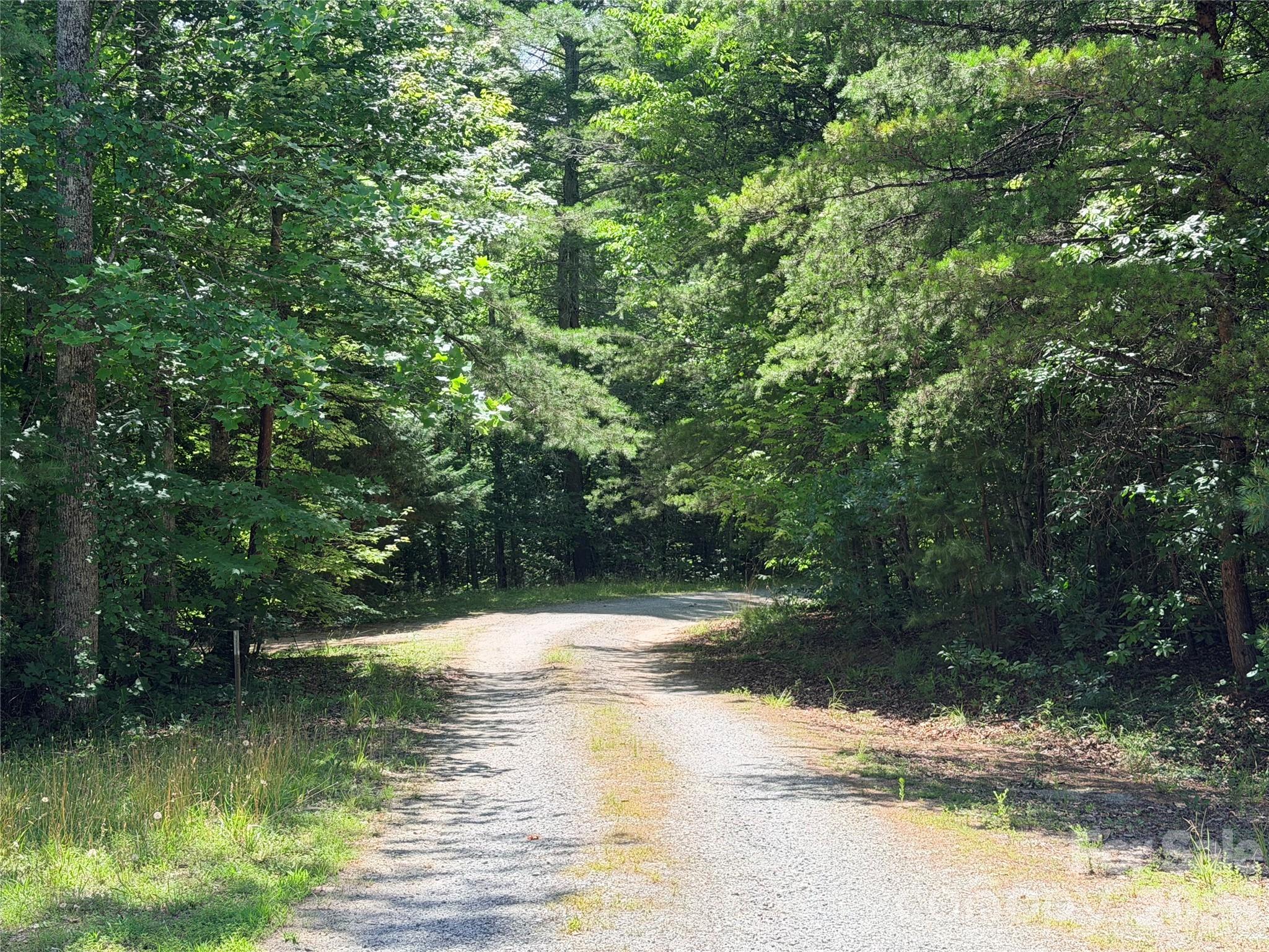 0 Grassy Knob Road, Unit 5 Mill Spring, NC 28756 - Photo 1 of 10