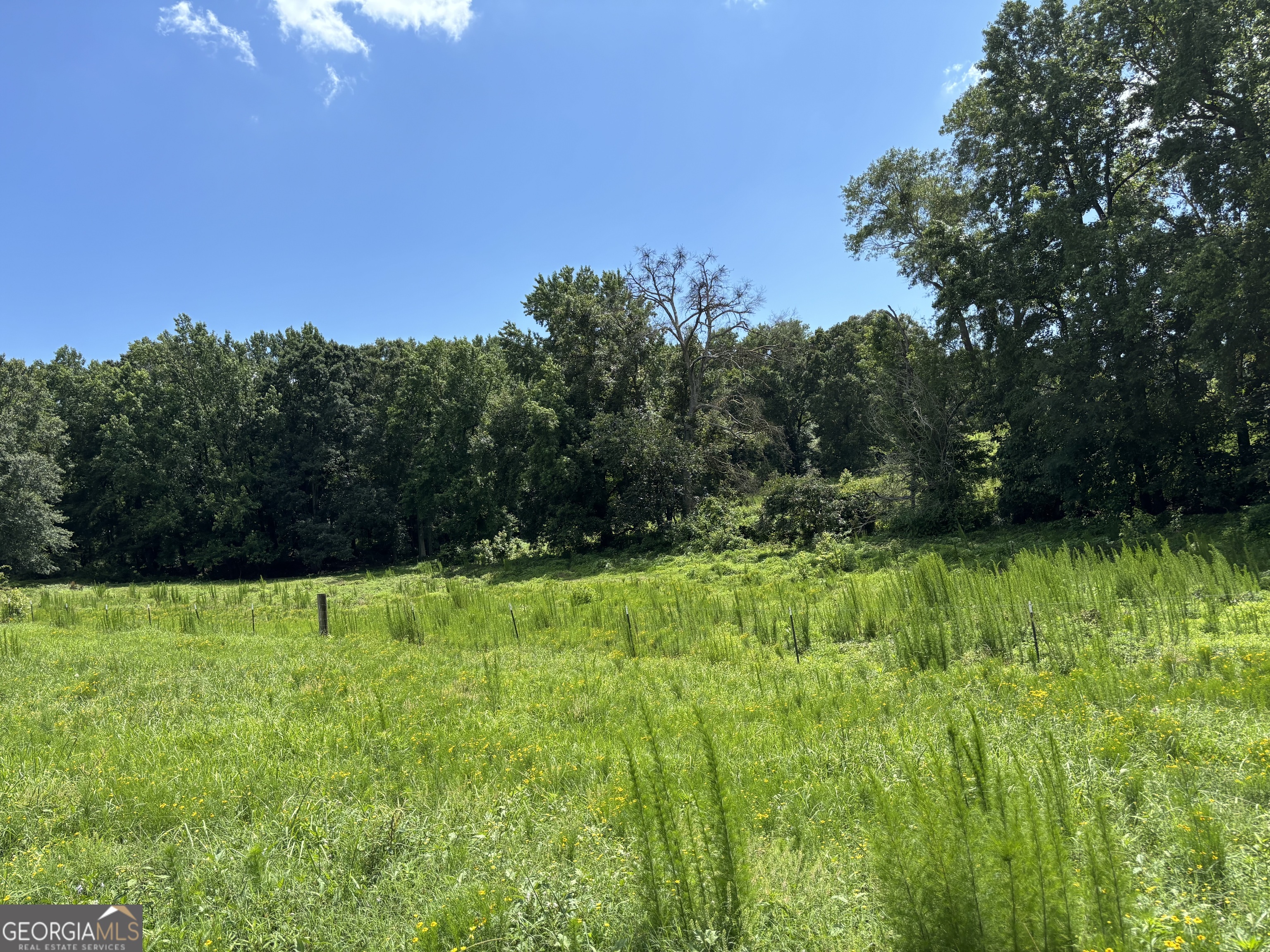 0 Mountain Creek Church Road Talmo, GA 30567 - Photo 1 of 1 a view of grassy field with trees in the background