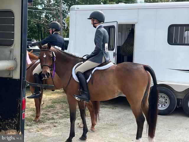 110 Homestead Road Wayne, PA 19087 - Photo 39 of 41 Annual Devon Horse Show