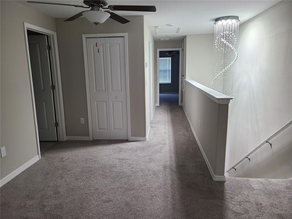 14331 Easy Goer Street Ruskin, FL 33573 - Photo 13 of 23