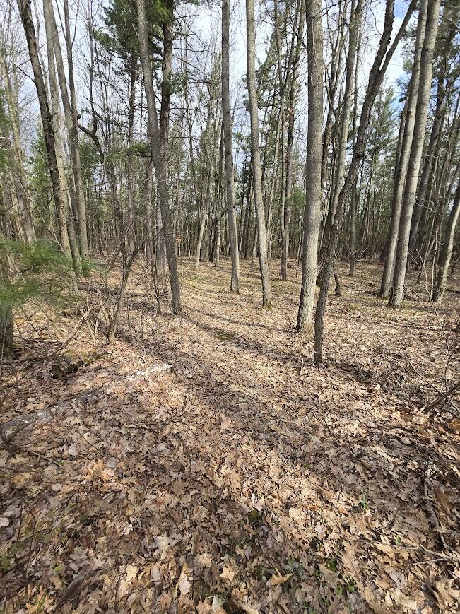 3189 South Cedar Road Chase, MI 49623 - Photo 26 of 45 20250429_101952