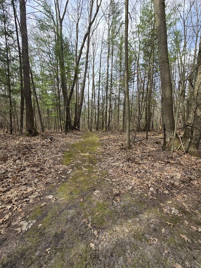 3189 South Cedar Road Chase, MI 49623 - Photo 27 of 45 20250429_102009