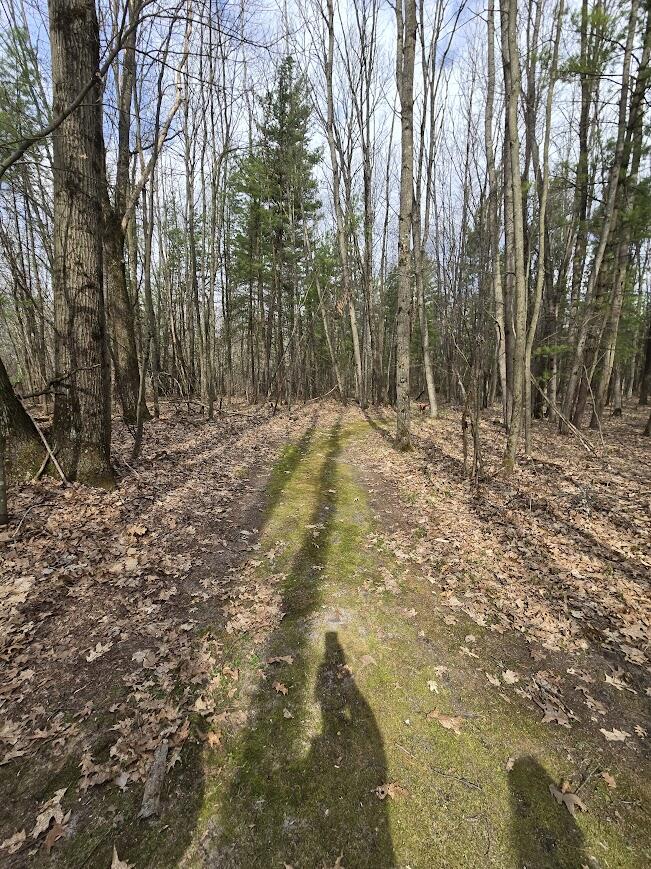 3189 South Cedar Road Chase, MI 49623 - Photo 28 of 45 20250429_102012