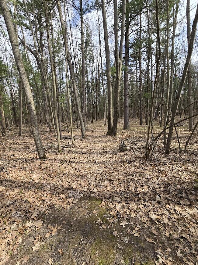 3189 South Cedar Road Chase, MI 49623 - Photo 29 of 45 20250429_102014