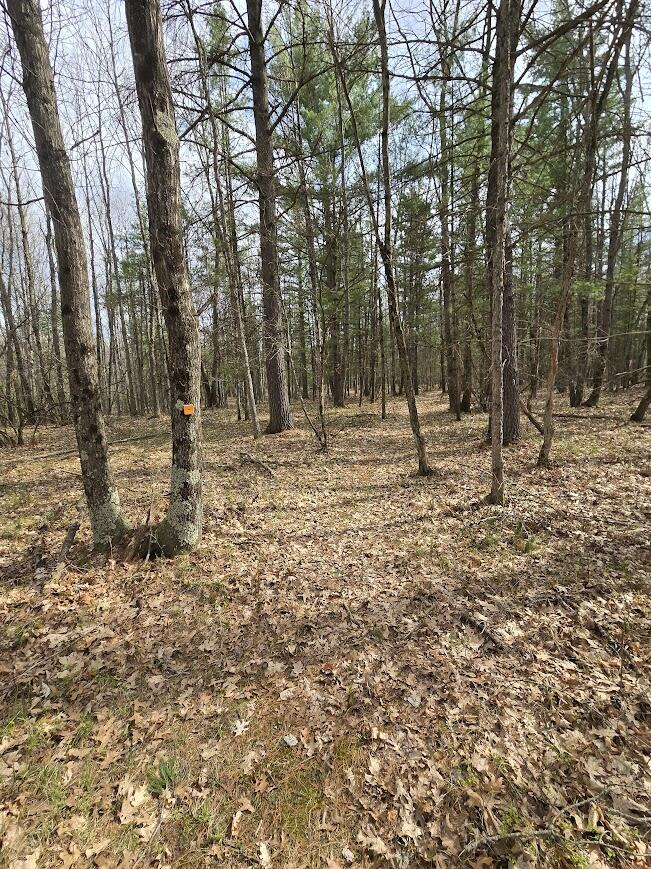 3189 South Cedar Road Chase, MI 49623 - Photo 30 of 45 20250429_102133